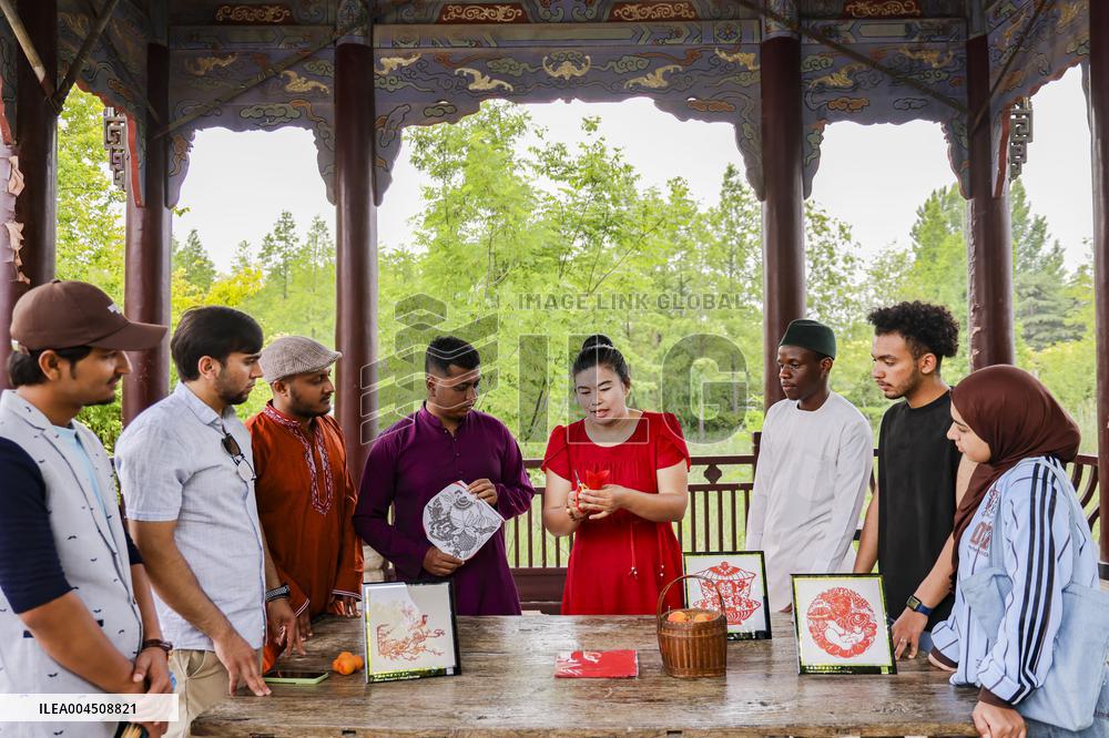 Foreign Students Participated in The Apricot Cultural Exchange Activity