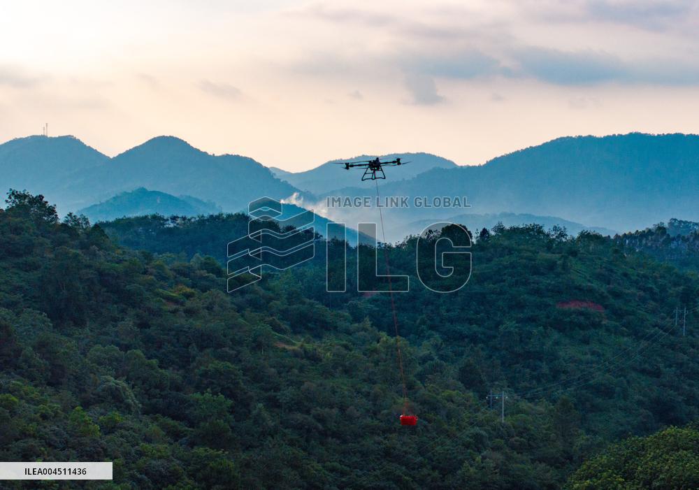 China S Largest Lychee Production Base