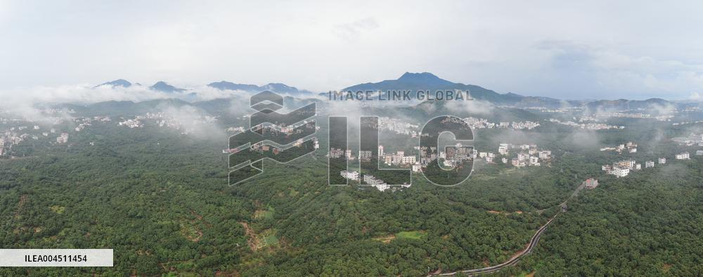 China S Largest Lychee Production Base