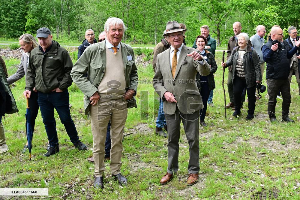 KING CARL GUSTAF STENHAMMAR DAY