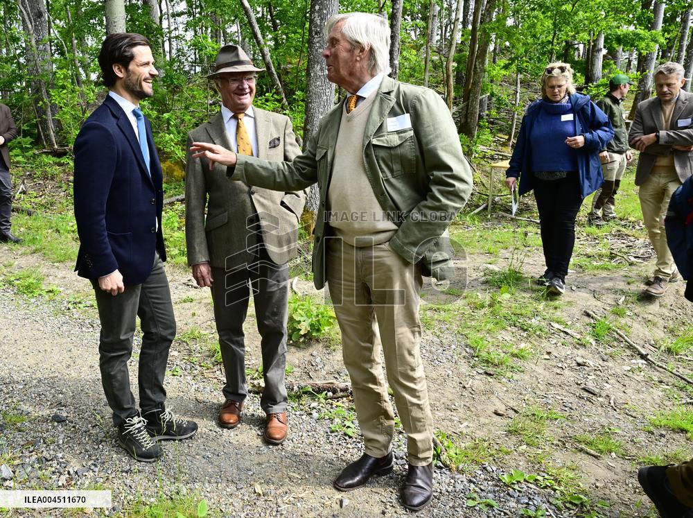 KING CARL GUSTAF STENHAMMAR DAY