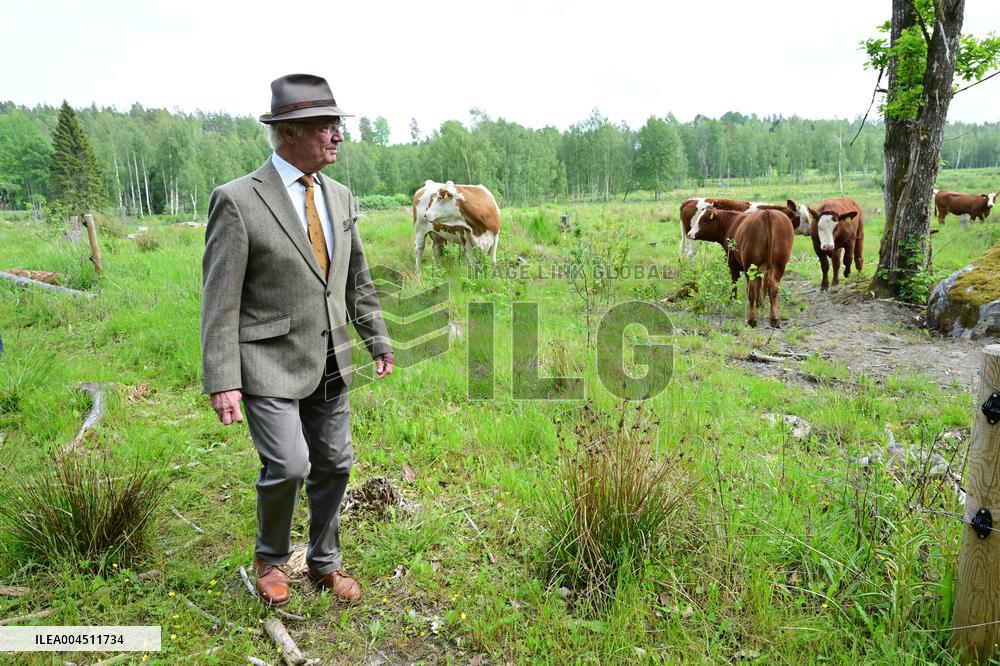 KING CARL GUSTAF STENHAMMAR DAY