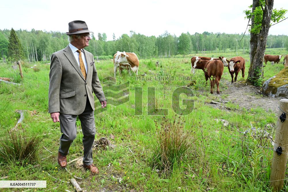 KING CARL GUSTAF STENHAMMAR DAY