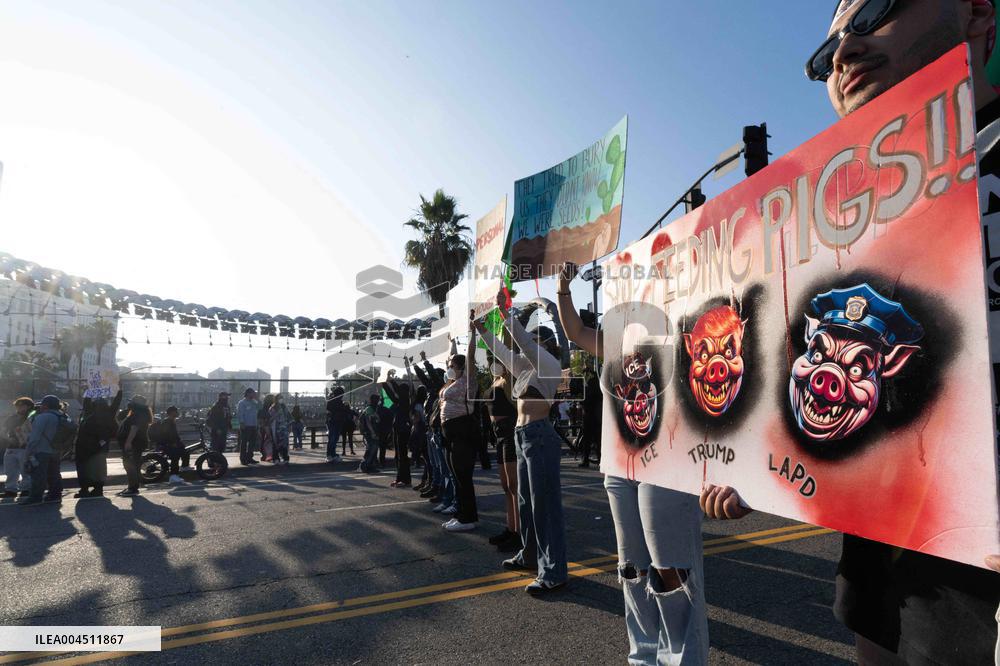 Los Angeles Demostrations on June 8 - LA