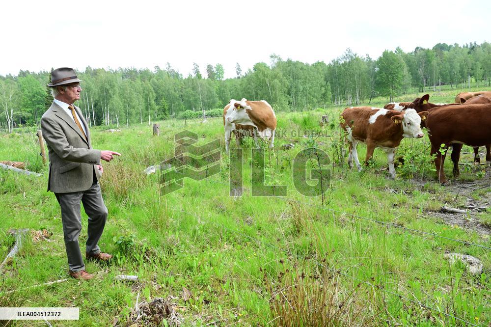 KING CARL GUSTAF STENHAMMAR DAY
