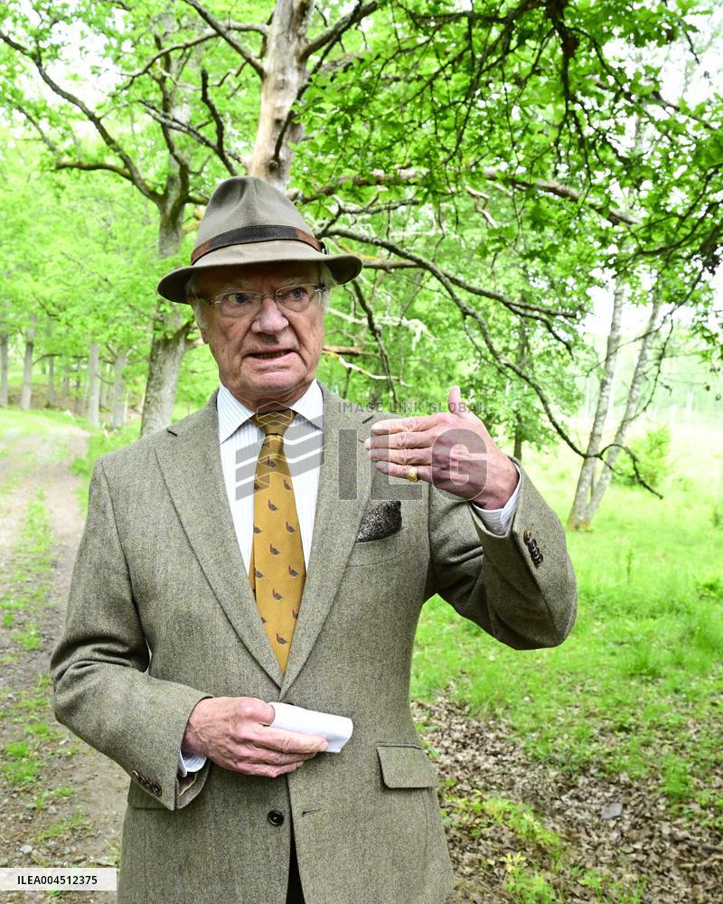 KING CARL GUSTAF STENHAMMAR DAY