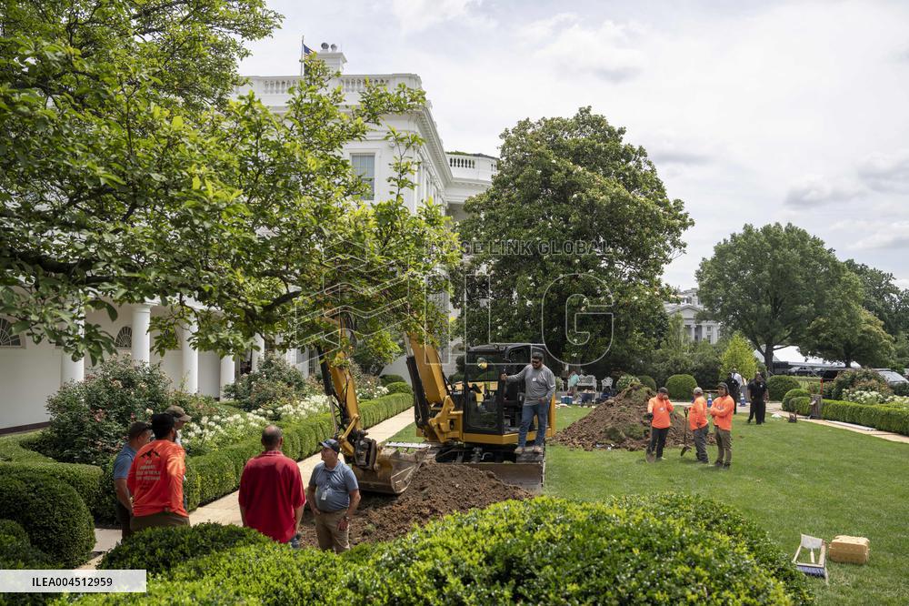 Rose Garden Landscaping at the White House for Trump’s Projects to Pave Over the Rose Garden