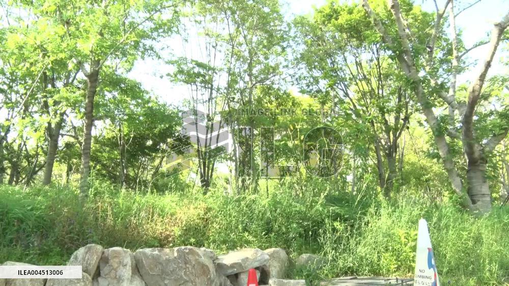 [Breaking News]World Exposition in Osaka