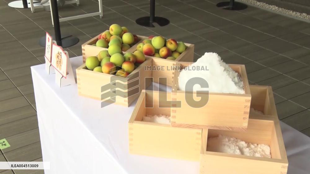 World Exposition in Osaka