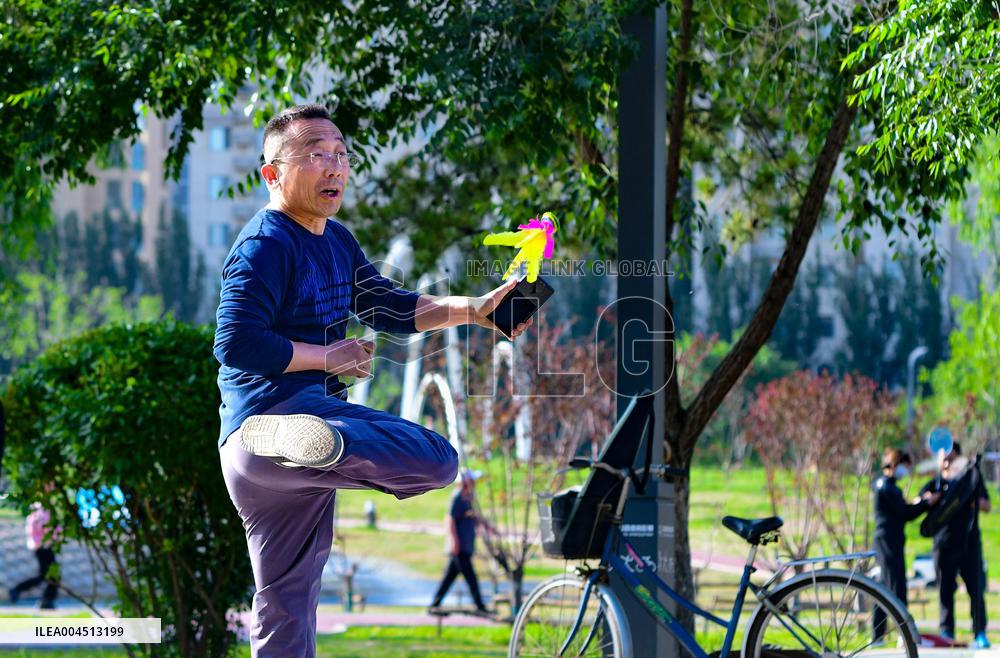 Fitness Public Service System Construction in Hohhot