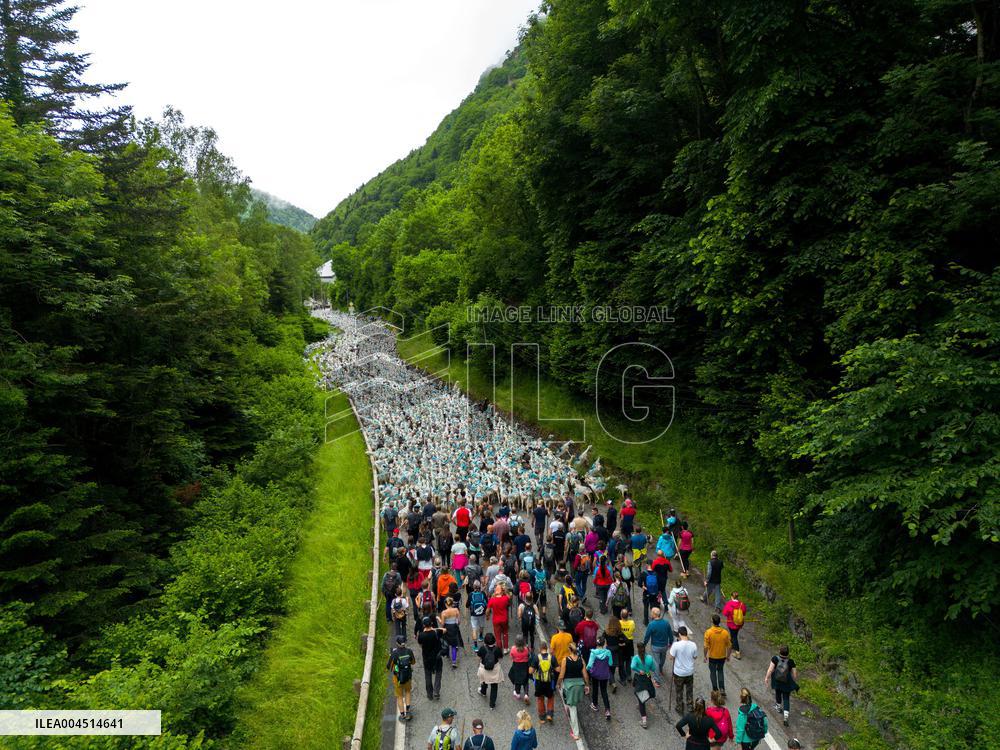 Traditional Annual Transhumance - France