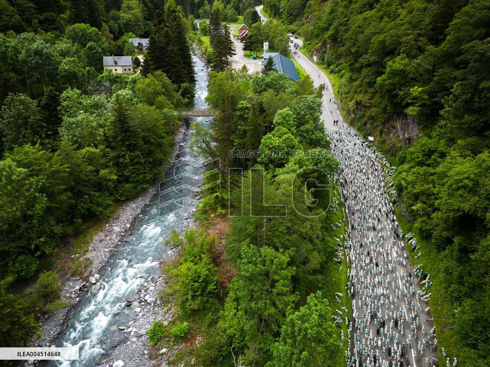 Traditional Annual Transhumance - France