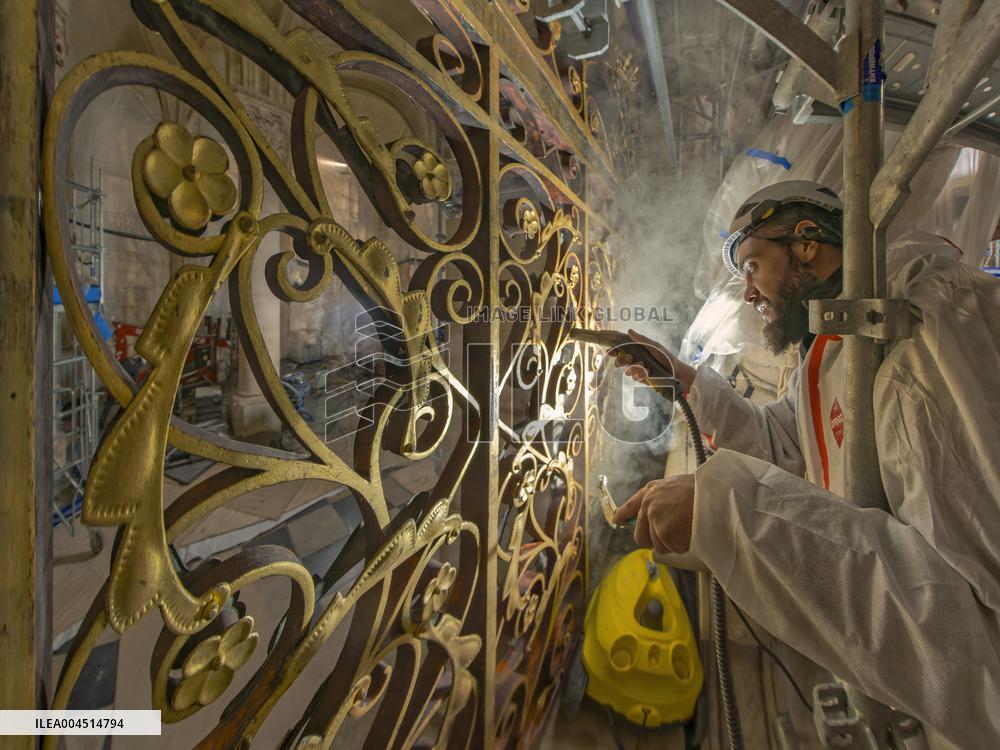 Exclusive - Illustration - The Cathedral of Notre Dame - Paris