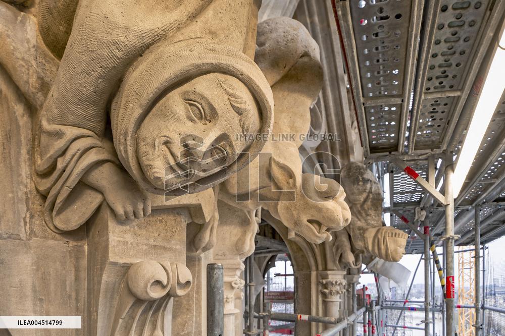 Exclusive - Illustration - The Cathedral of Notre Dame - Paris