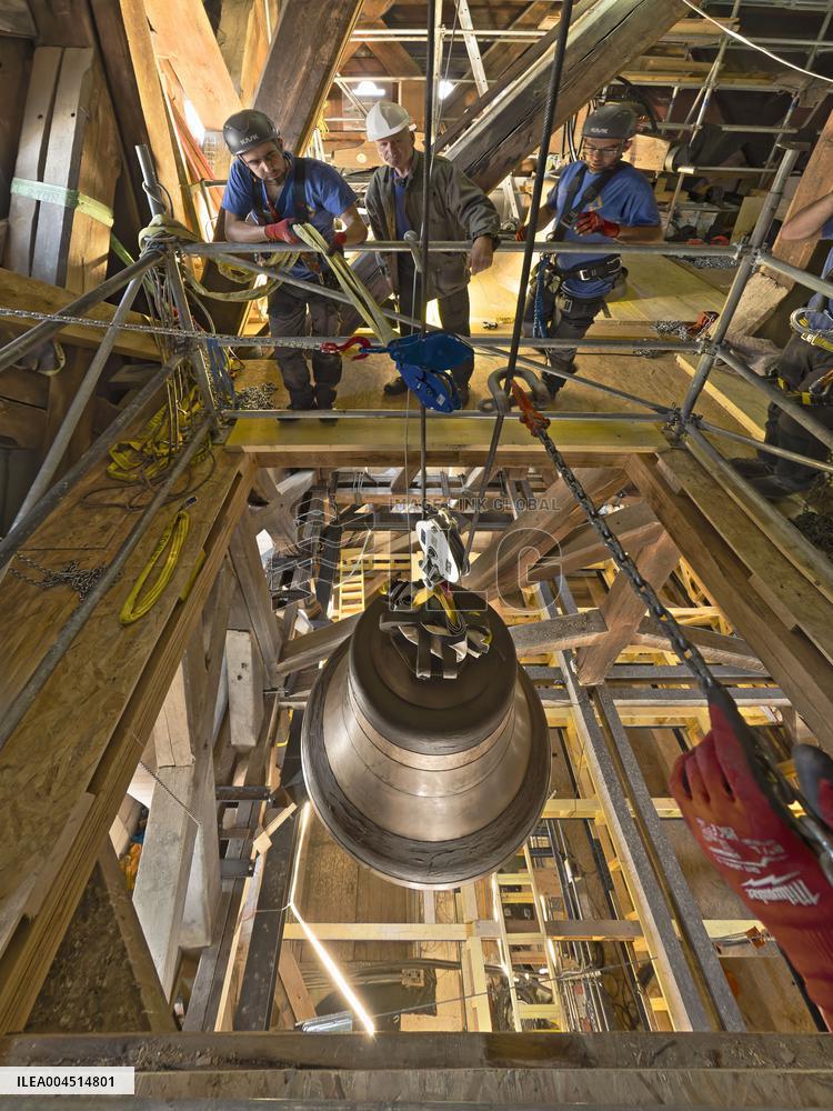 Exclusive - Illustration - The Cathedral of Notre Dame - Paris