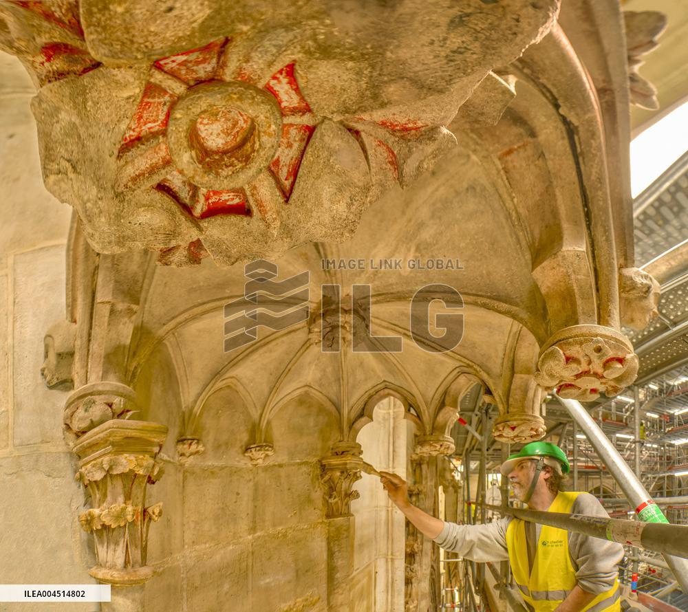 Exclusive - Illustration - The Cathedral of Notre Dame - Paris