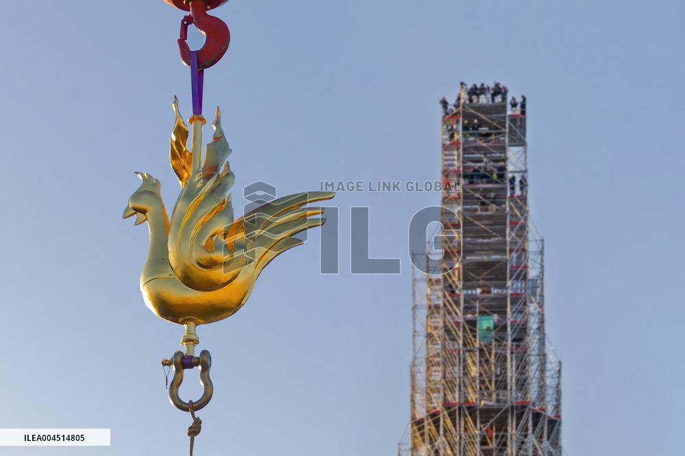 Exclusive - Illustration - The Cathedral of Notre Dame - Paris