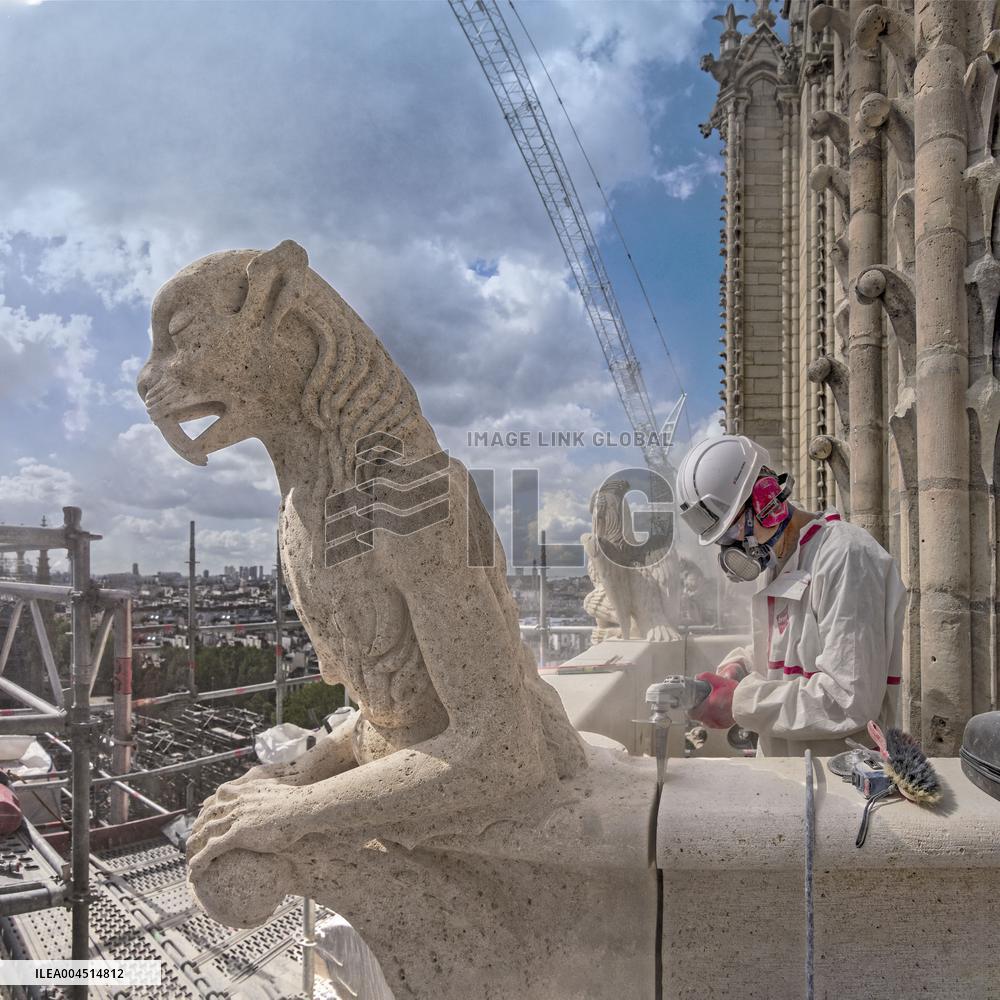 Exclusive - Illustration - The Cathedral of Notre Dame - Paris
