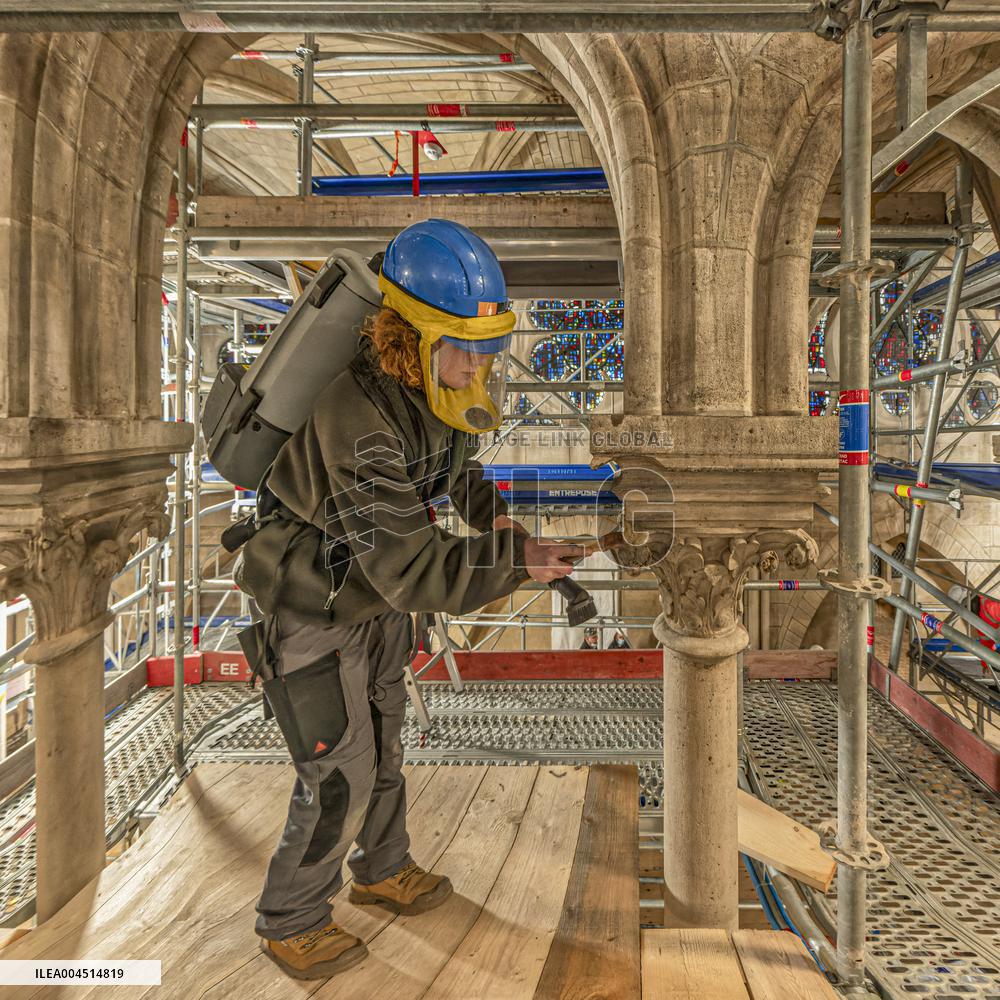 Exclusive - Illustration - The Cathedral of Notre Dame - Paris