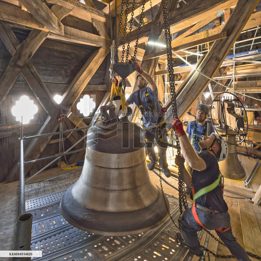 Exclusive - Illustration - The Cathedral of Notre Dame - Paris