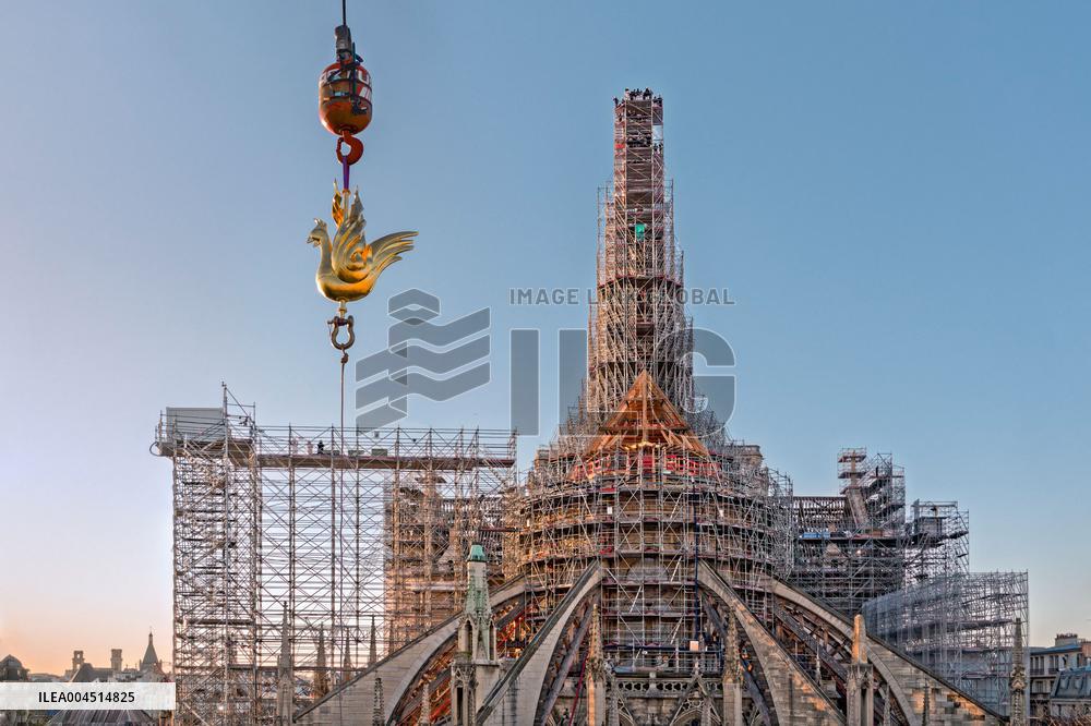 Exclusive - Illustration - The Cathedral of Notre Dame - Paris