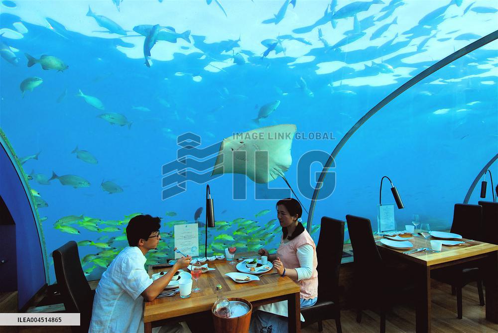 Illustration - Maldives