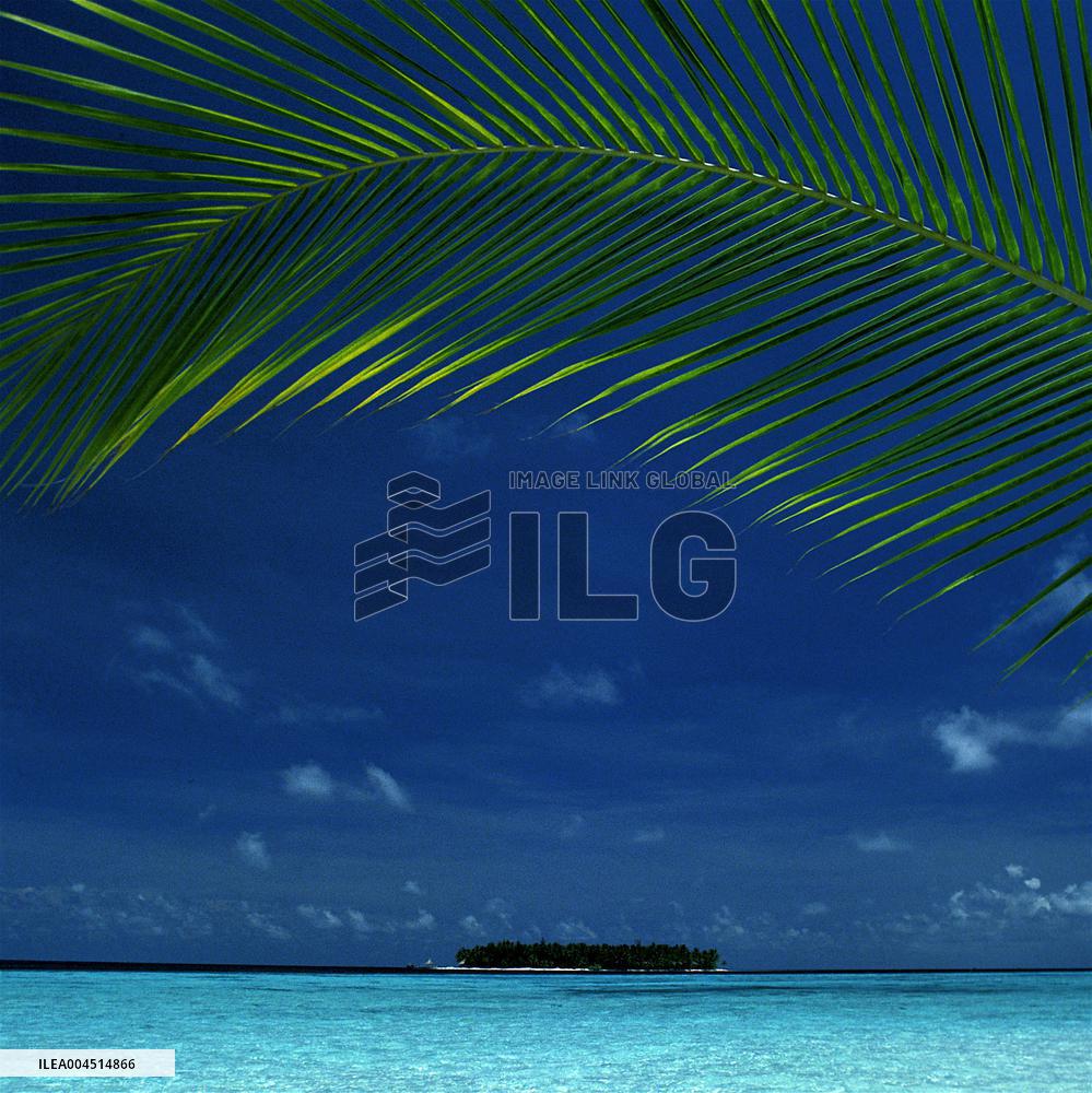 Illustration - Maldives