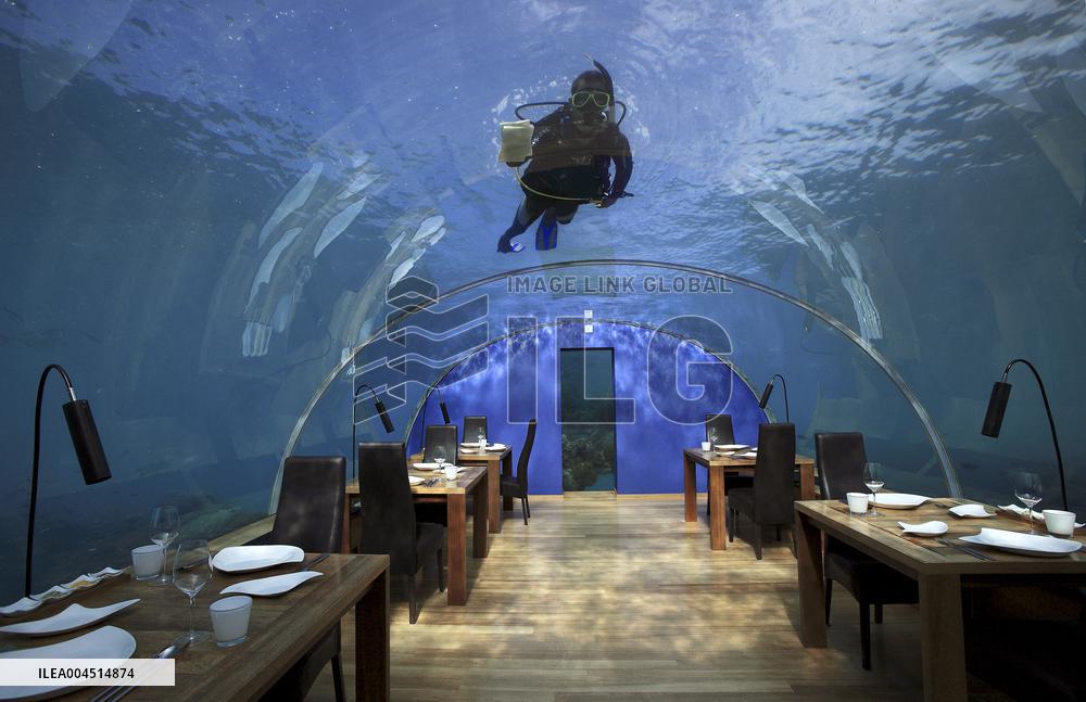 Illustration - Maldives