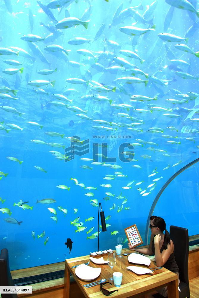 Illustration - Maldives