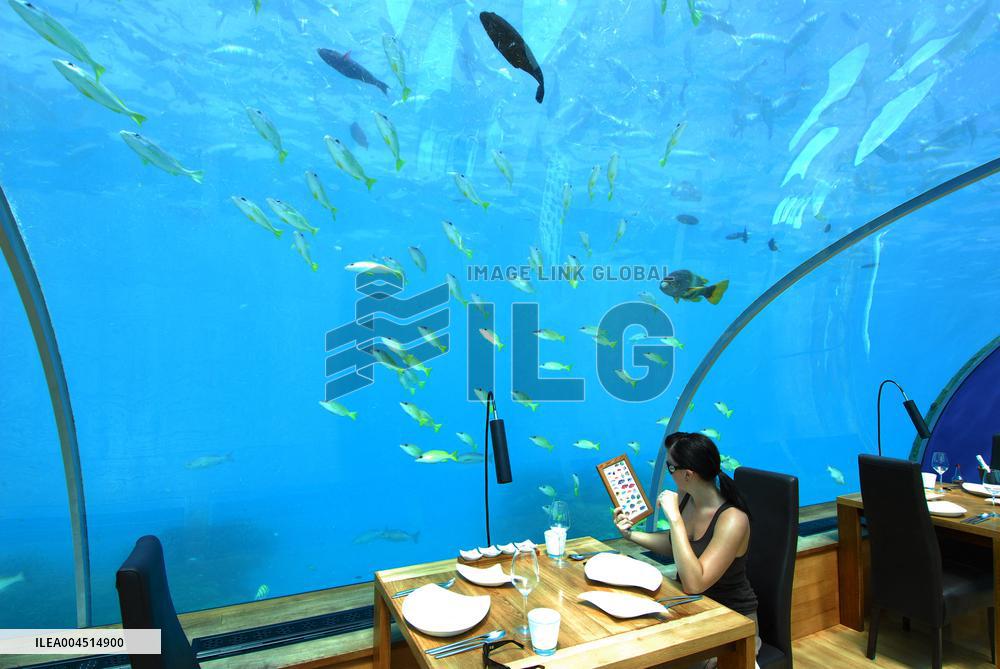 Illustration - Maldives