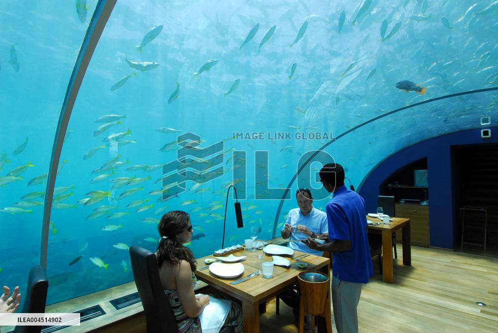 Illustration - Maldives