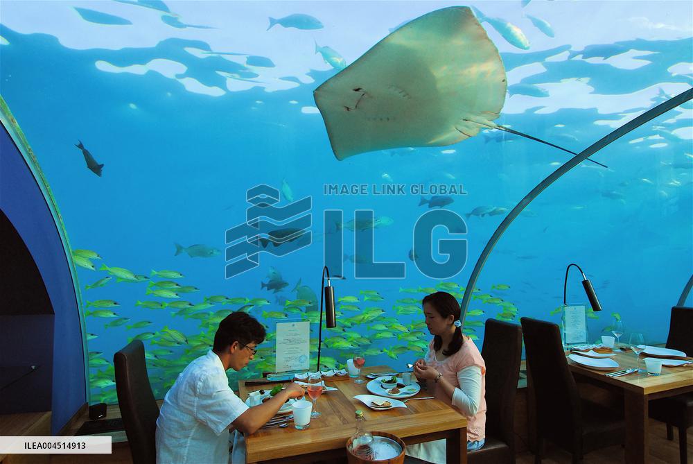 Illustration - Maldives