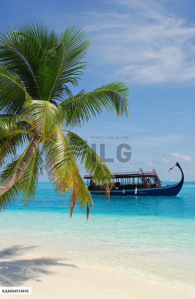 Illustration - Maldives