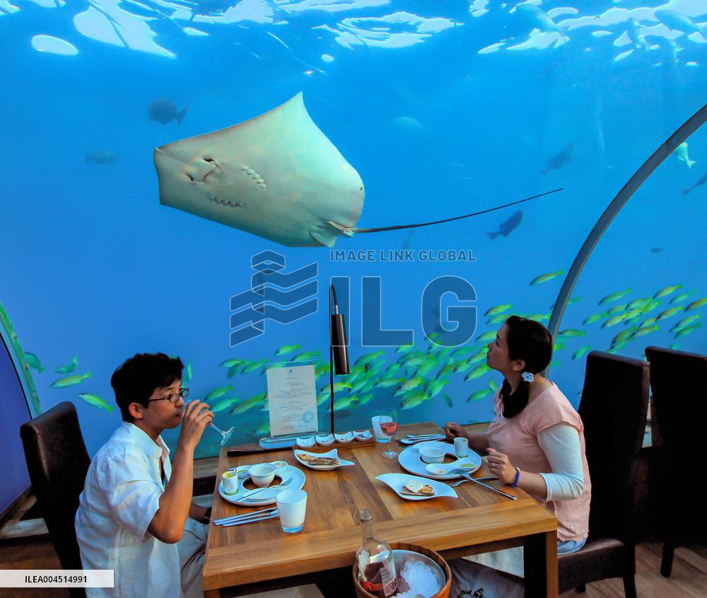 Illustration - Maldives