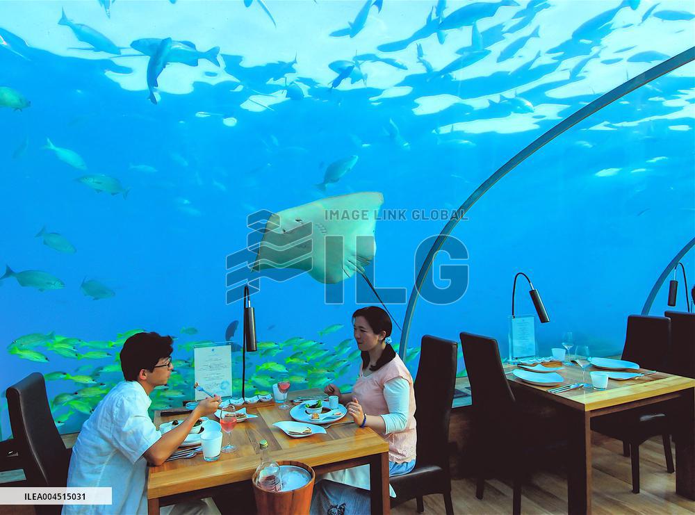 Illustration - Maldives