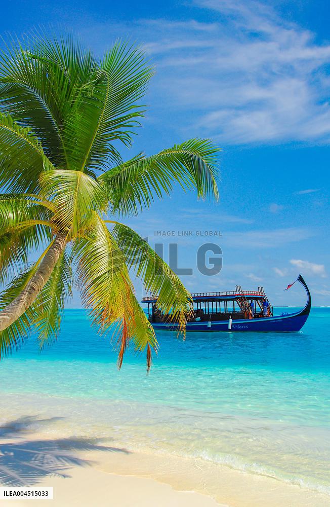 Illustration - Maldives