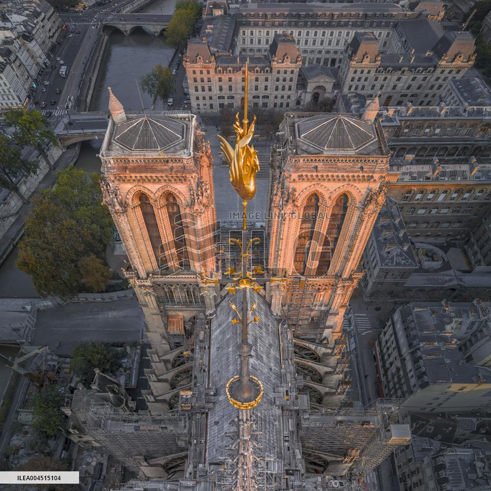Exclusive - Illustration - The Cathedral of Notre Dame - Paris