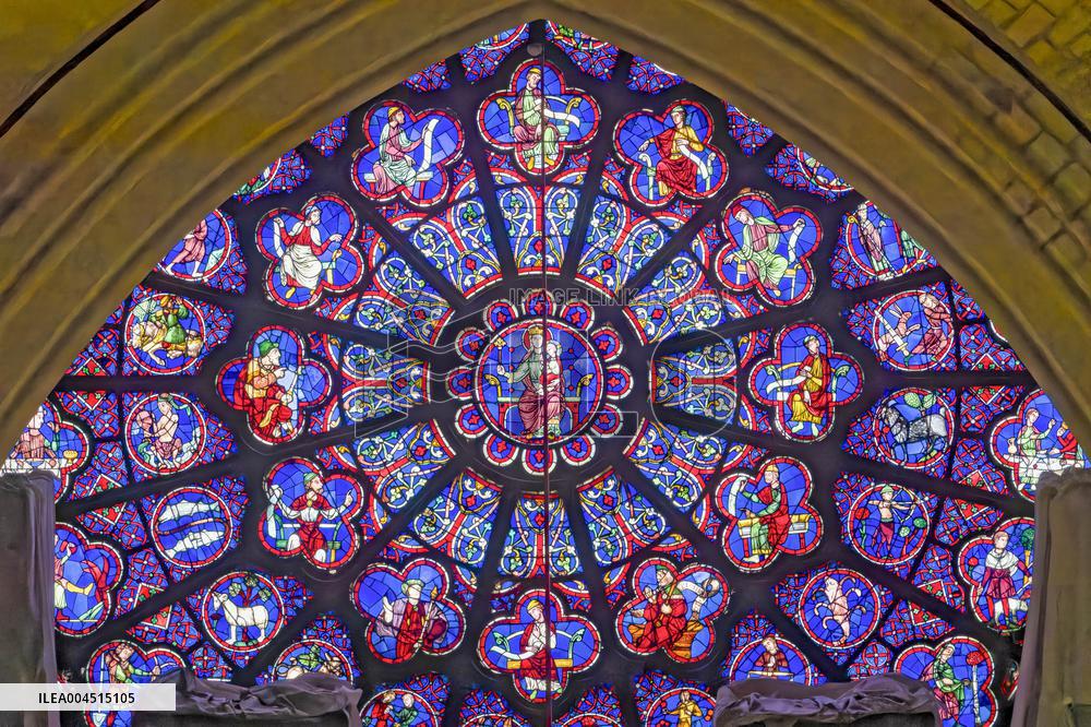 Exclusive - Illustration - The Cathedral of Notre Dame - Paris