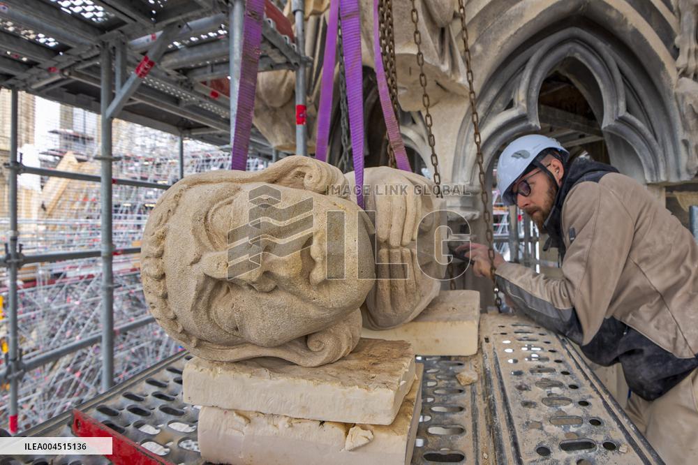 Exclusive - Illustration - The Cathedral of Notre Dame - Paris