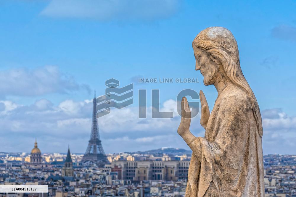 Exclusive - Illustration - The Cathedral of Notre Dame - Paris