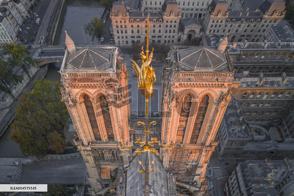 Exclusive - Illustration - The Cathedral of Notre Dame - Paris