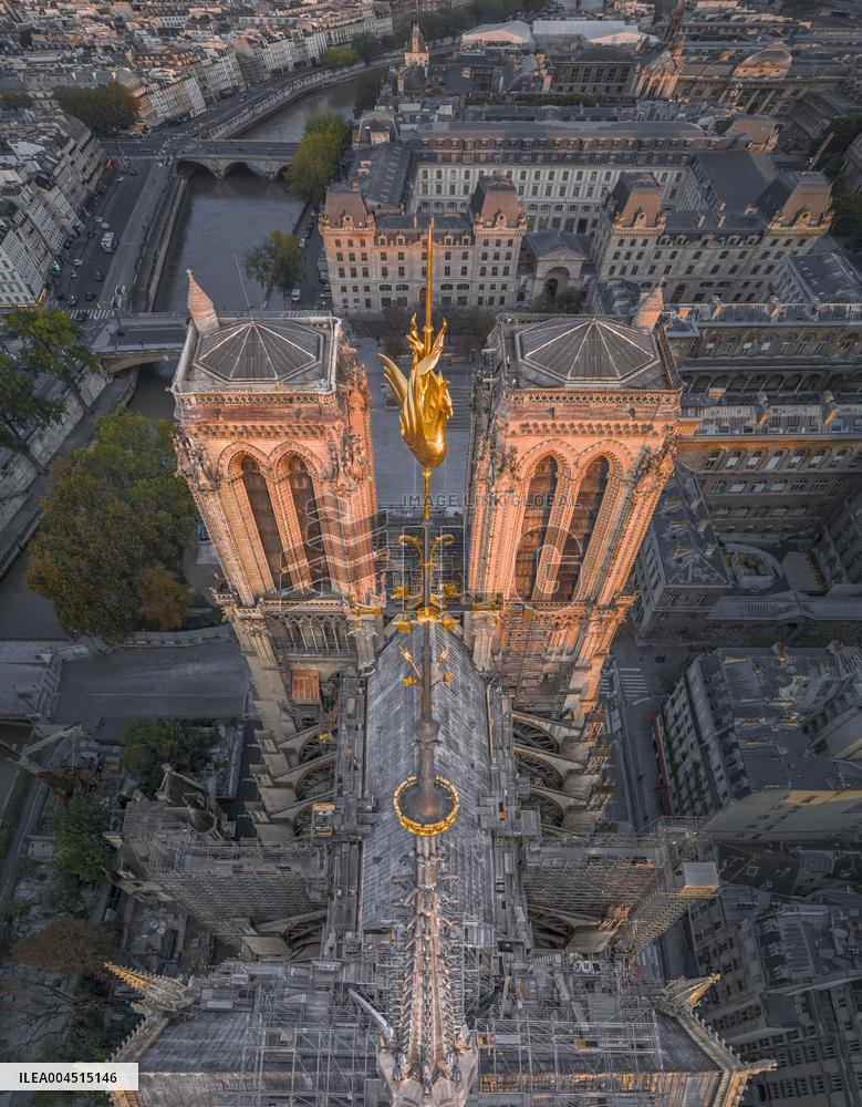 Exclusive - Illustration - The Cathedral of Notre Dame - Paris