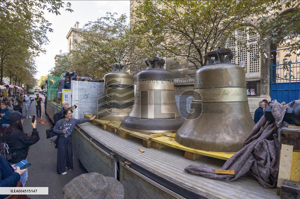 Exclusive - Illustration - The Cathedral of Notre Dame - Paris