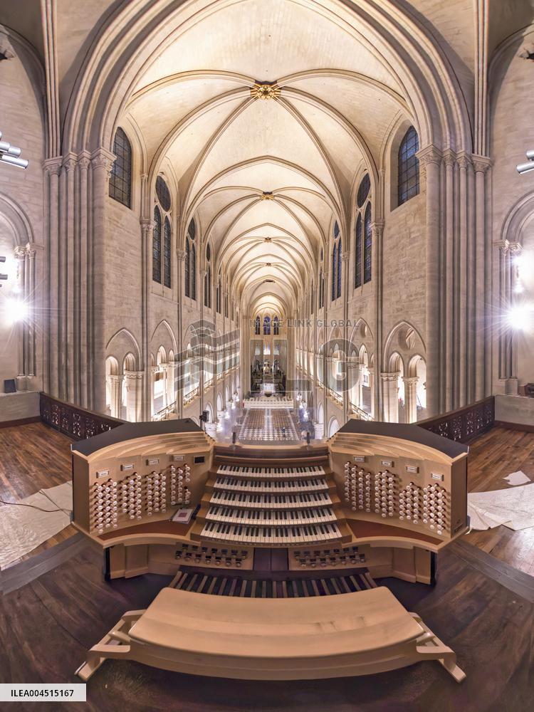 Exclusive - Illustration - The Cathedral of Notre Dame - Paris