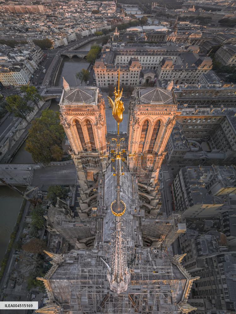 Exclusive - Illustration - The Cathedral of Notre Dame - Paris