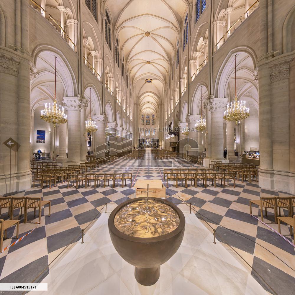 Exclusive - Illustration - The Cathedral of Notre Dame - Paris