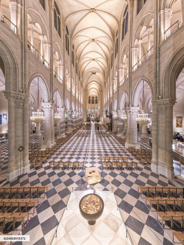 Exclusive - Illustration - The Cathedral of Notre Dame - Paris