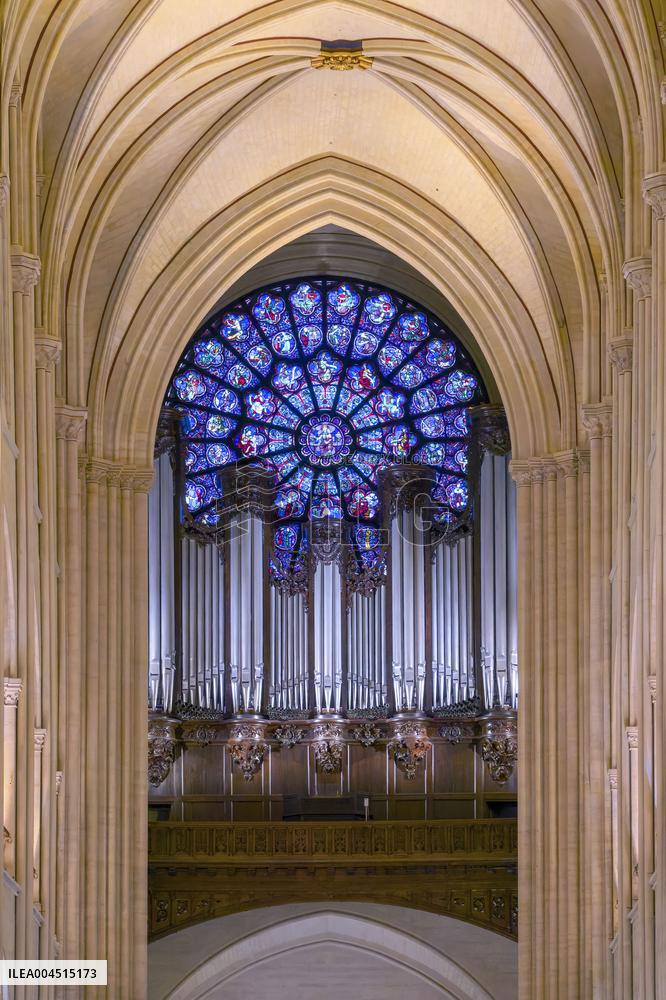 Exclusive - Illustration - The Cathedral of Notre Dame - Paris