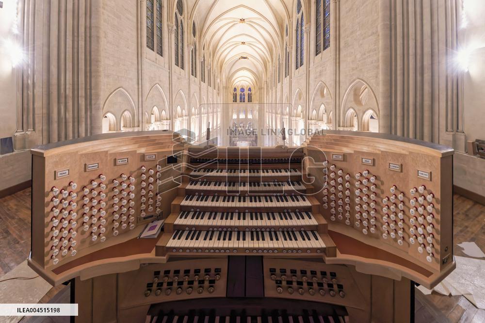 Exclusive - Illustration - The Cathedral of Notre Dame - Paris