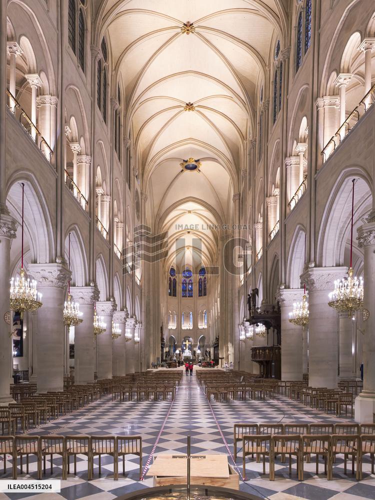 Exclusive - Illustration - The Cathedral of Notre Dame - Paris